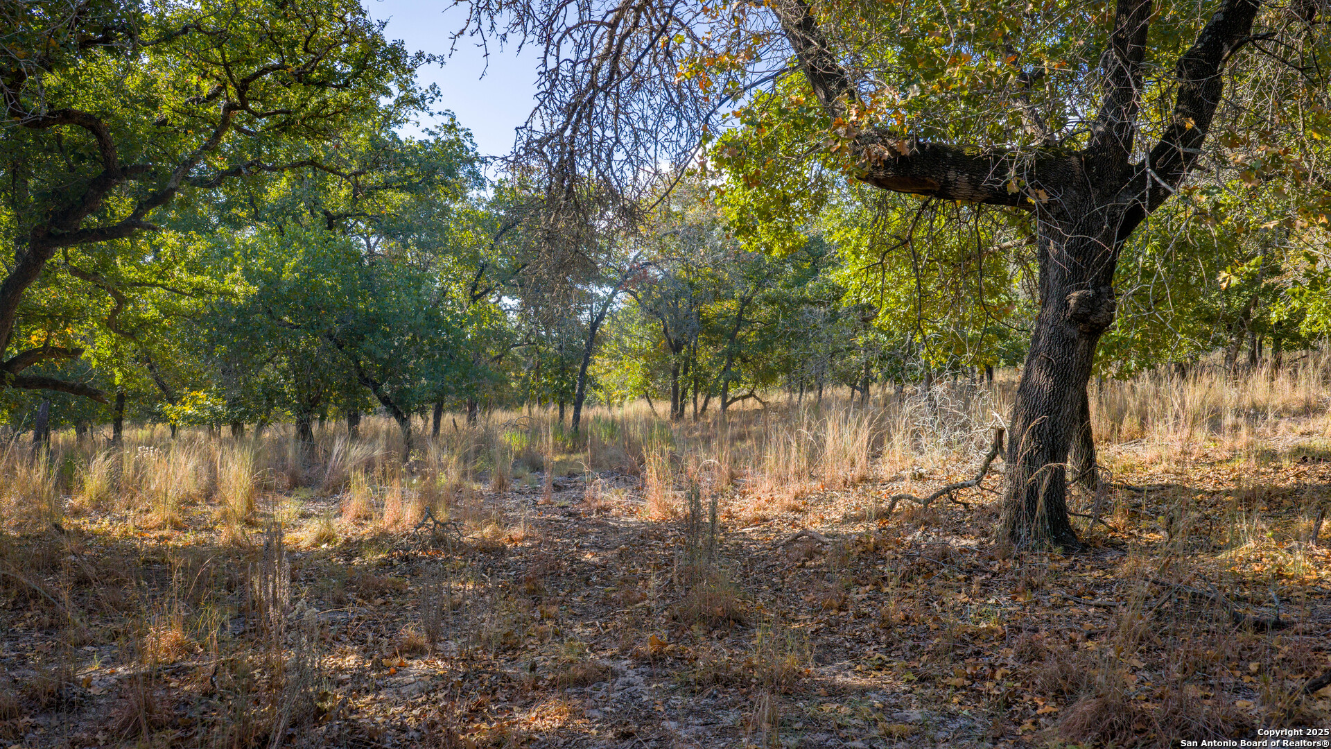 Lot 17 & 18 Sandstone Lane Seguin TX 78155