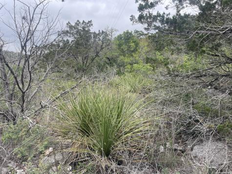 0000 County Road 243 Hondo TX 78861