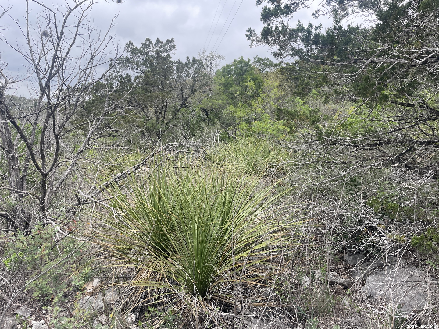 0000 County Road 243 Hondo TX 78861