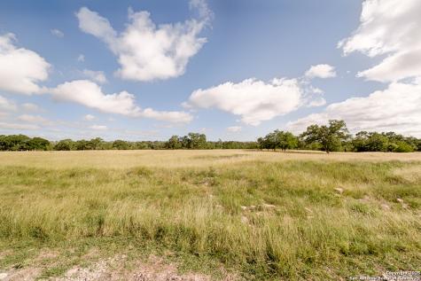 Lot 23 Goose Landing Way Harper TX 78631