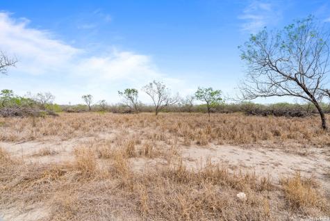 Lot 3 County Road 440 Alice TX 78333
