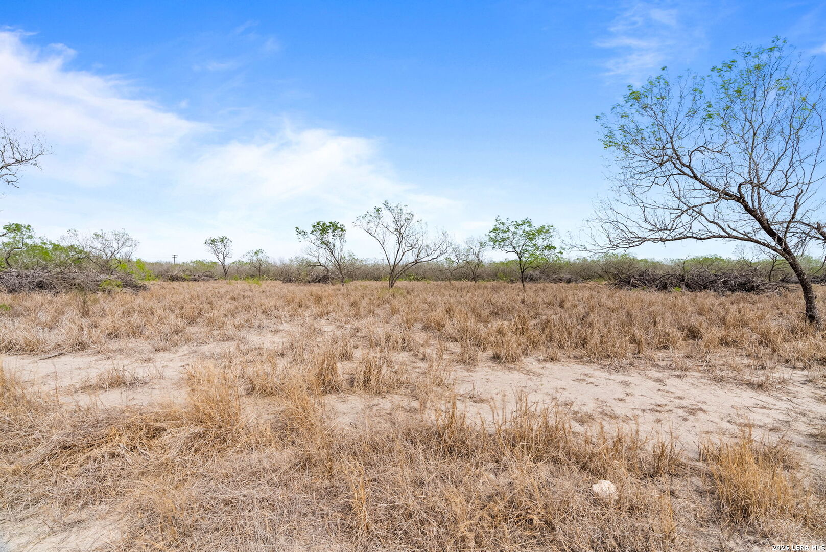 Lot 3 County Road 440 Alice TX 78333