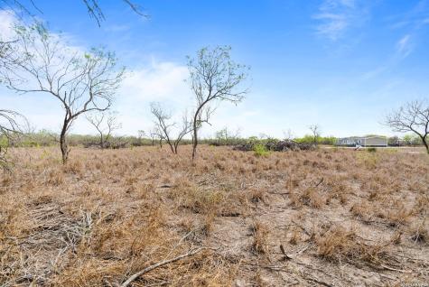 Lot 3 County Road 440 Alice TX 78333