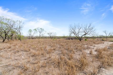 Lot 3 County Road 440 Alice TX 78333