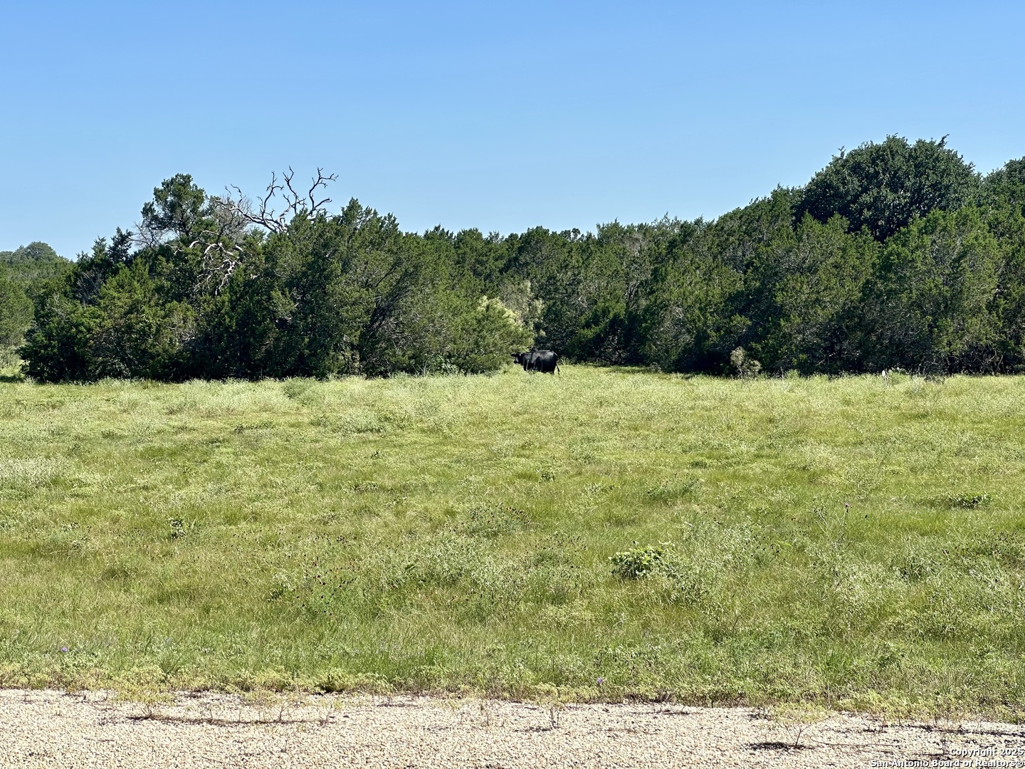 Lot 40 Starfall Drive Lampasas TX 76550