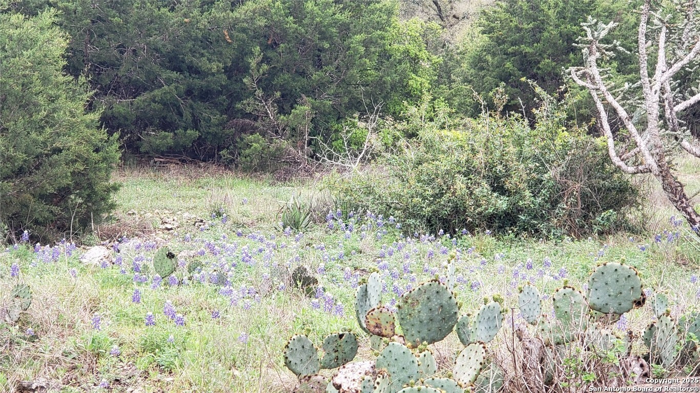 301 Rim Rock Ranch San Marcos TX 78666
