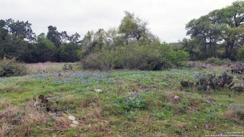 301 Rim Rock Ranch San Marcos TX 78666