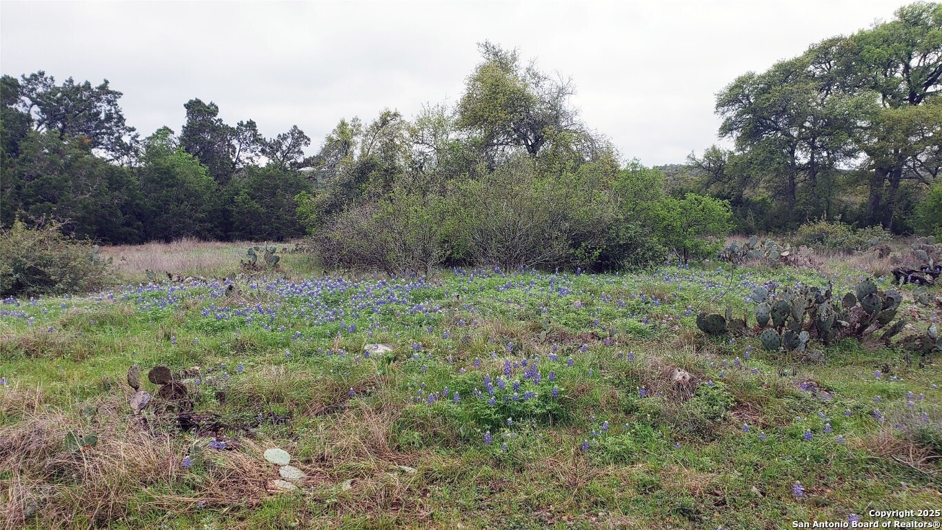 301 Rim Rock Ranch San Marcos TX 78666