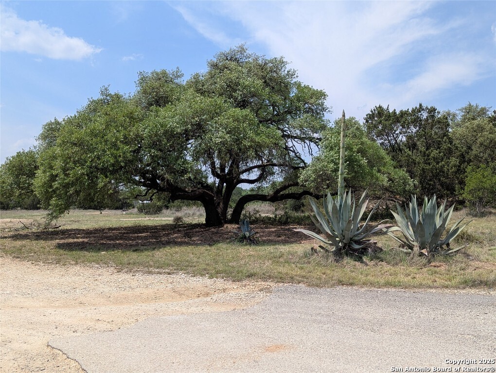301 Rim Rock Ranch San Marcos TX 78666