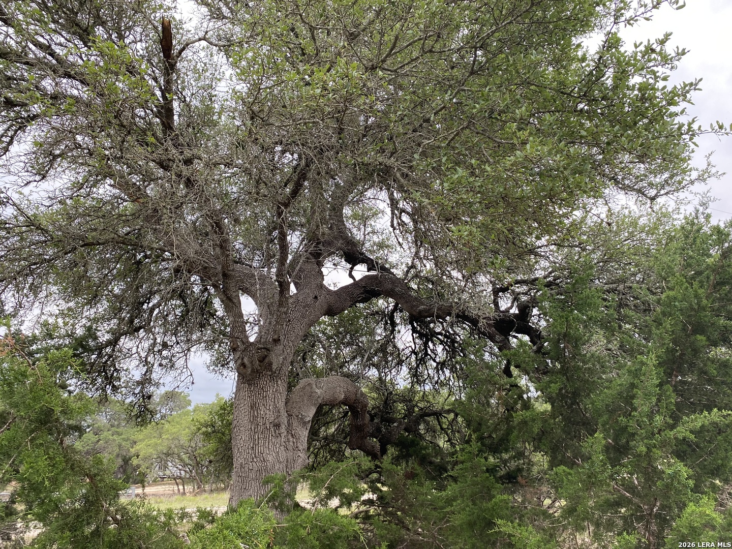 42 Rust Lane Boerne TX 78006