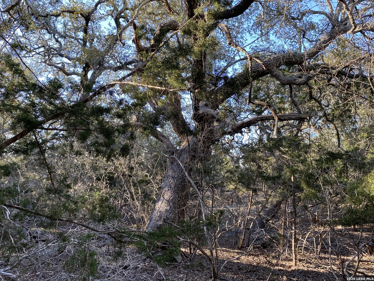 42 Rust Lane Boerne TX 78006