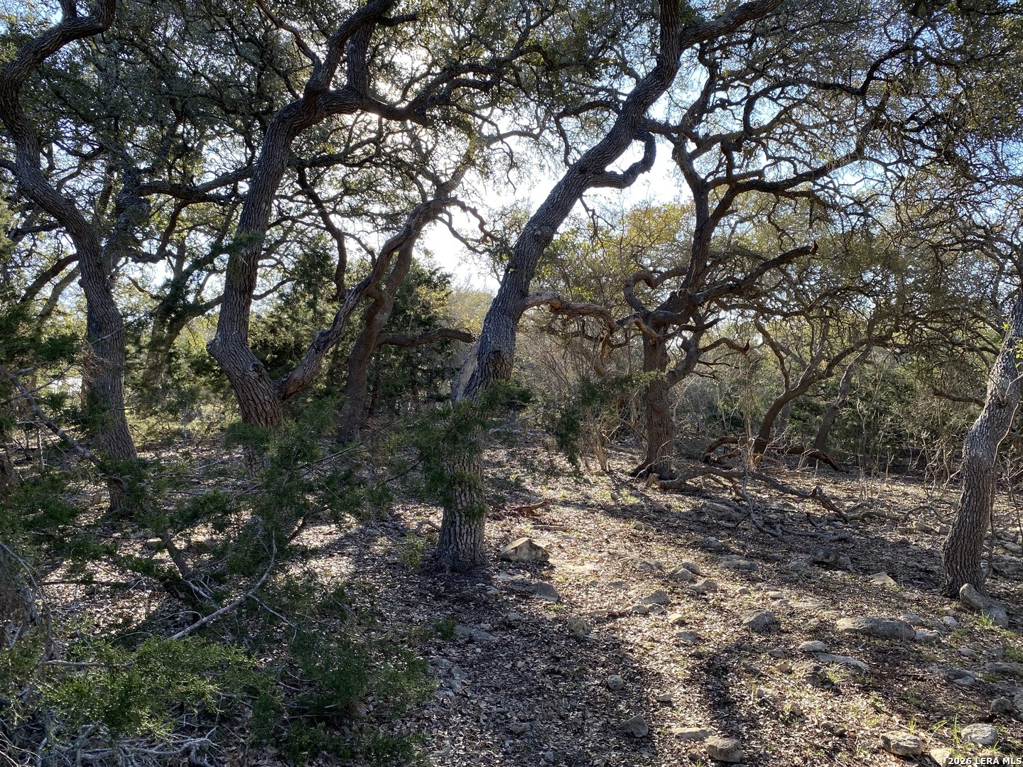 42 Rust Lane Boerne TX 78006