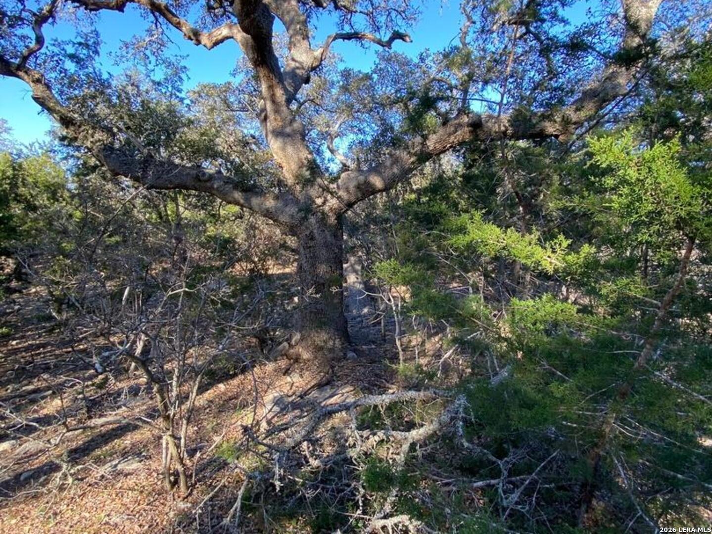 42 Rust Lane Boerne TX 78006