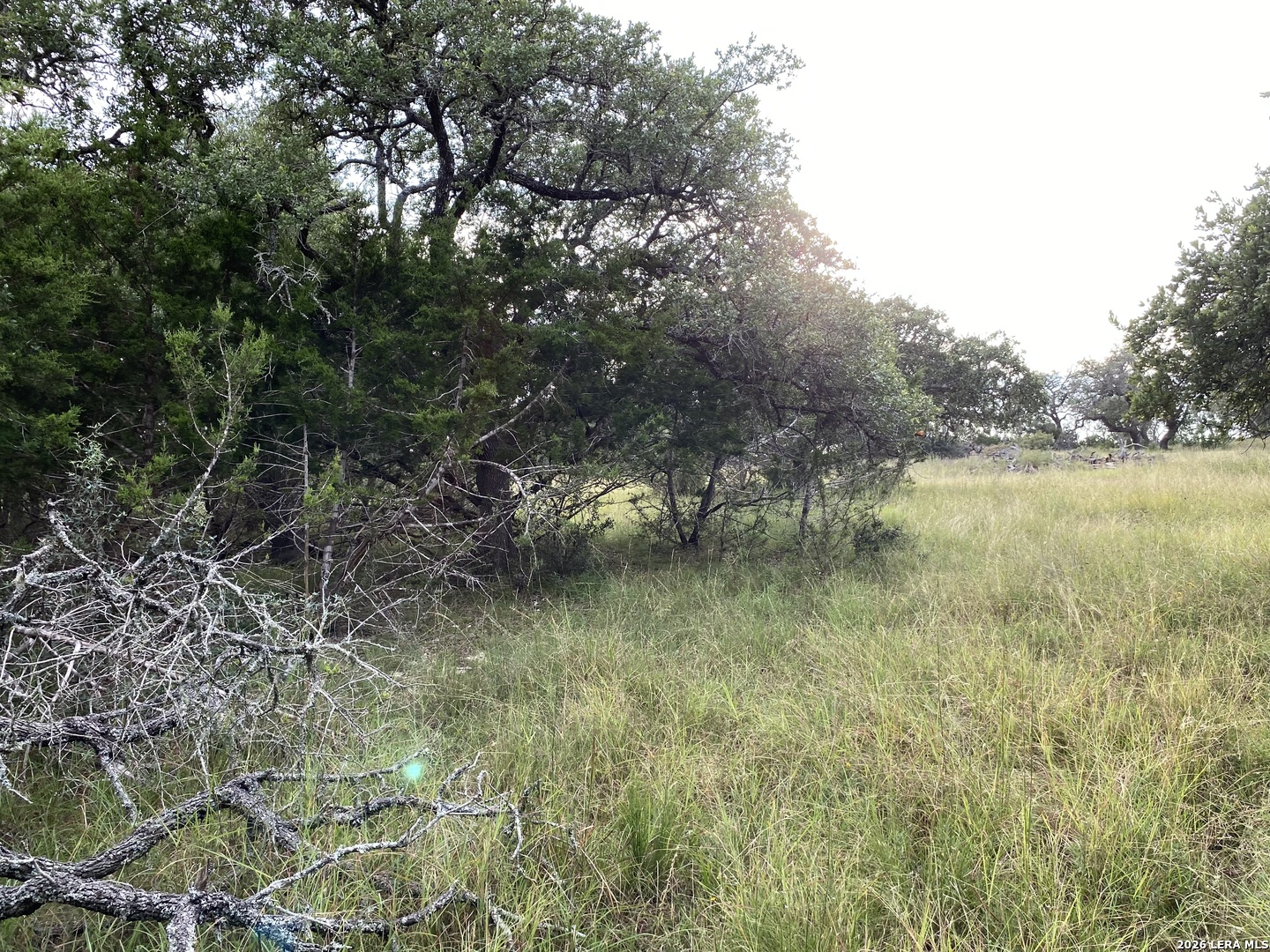 42 Rust Lane Boerne TX 78006