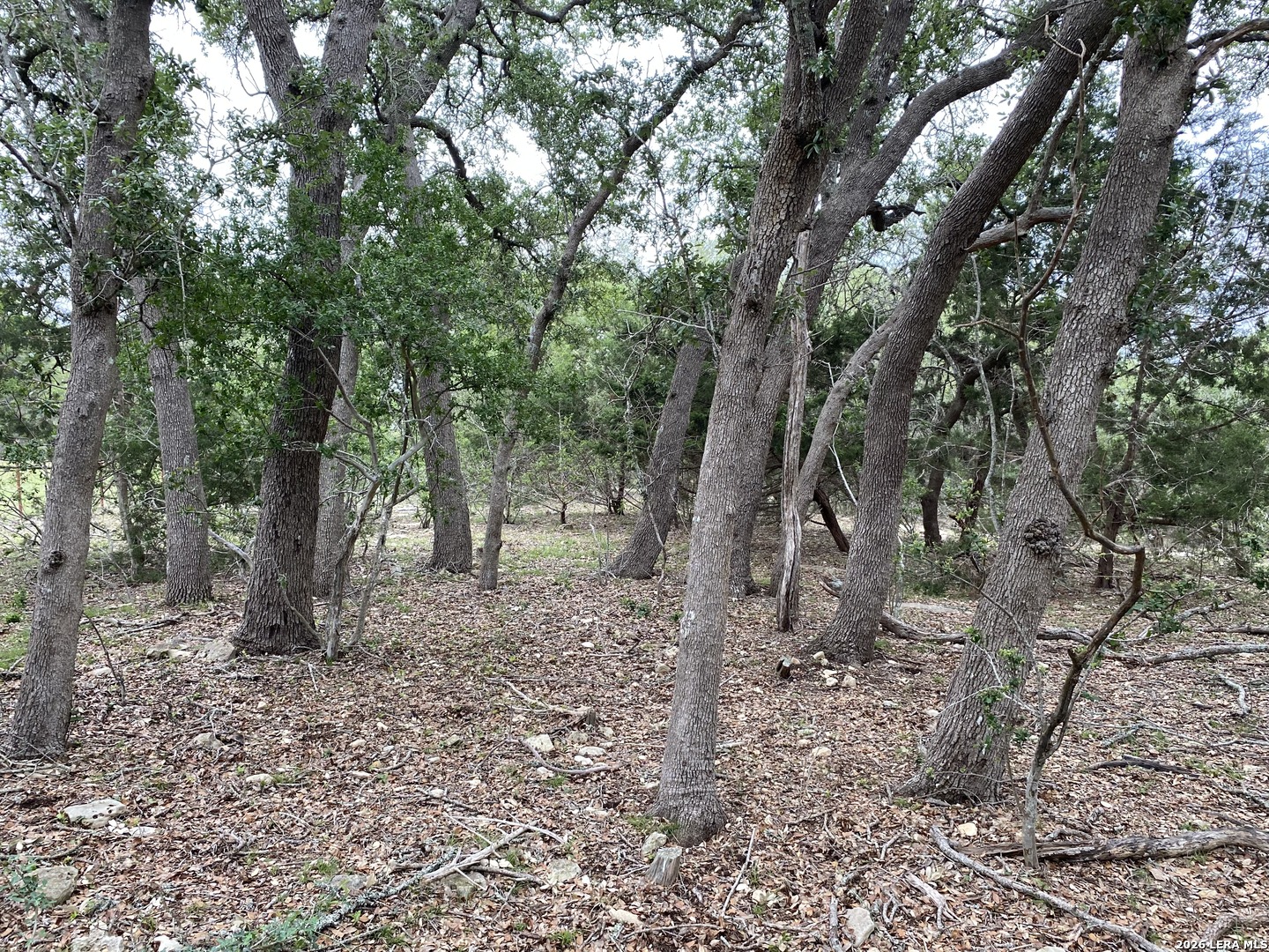 42 Rust Lane Boerne TX 78006