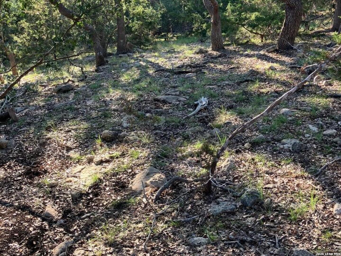 42 Rust Lane Boerne TX 78006