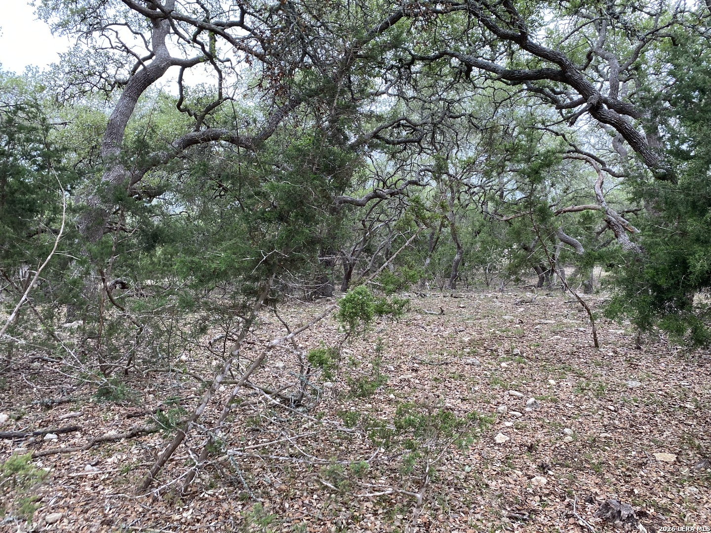 42 Rust Lane Boerne TX 78006