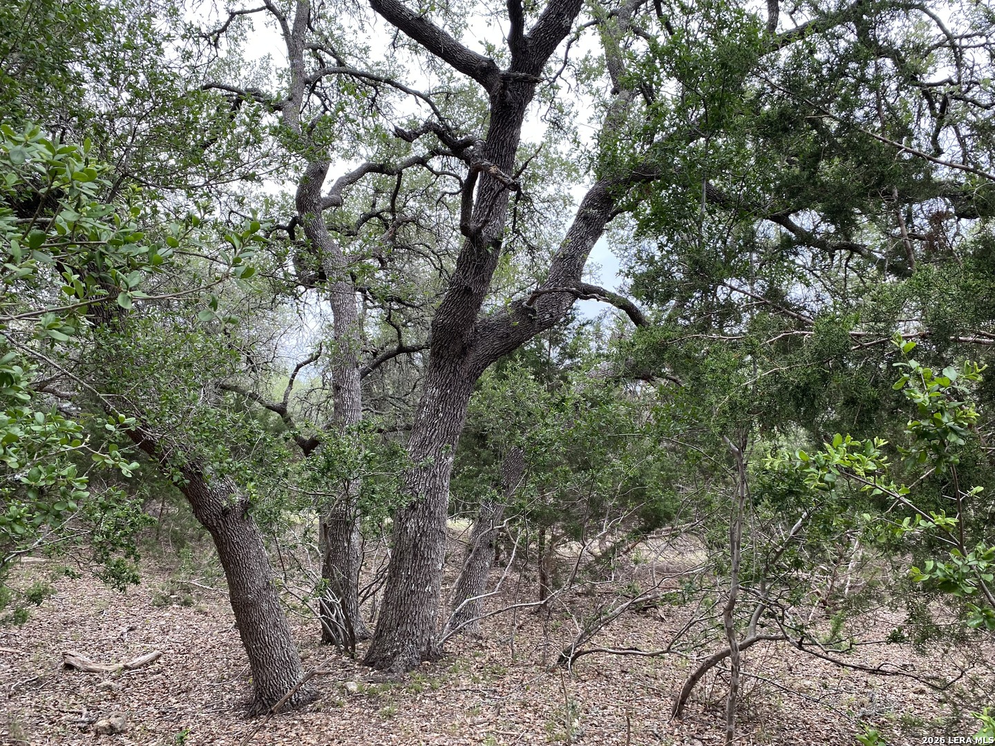 42 Rust Lane Boerne TX 78006