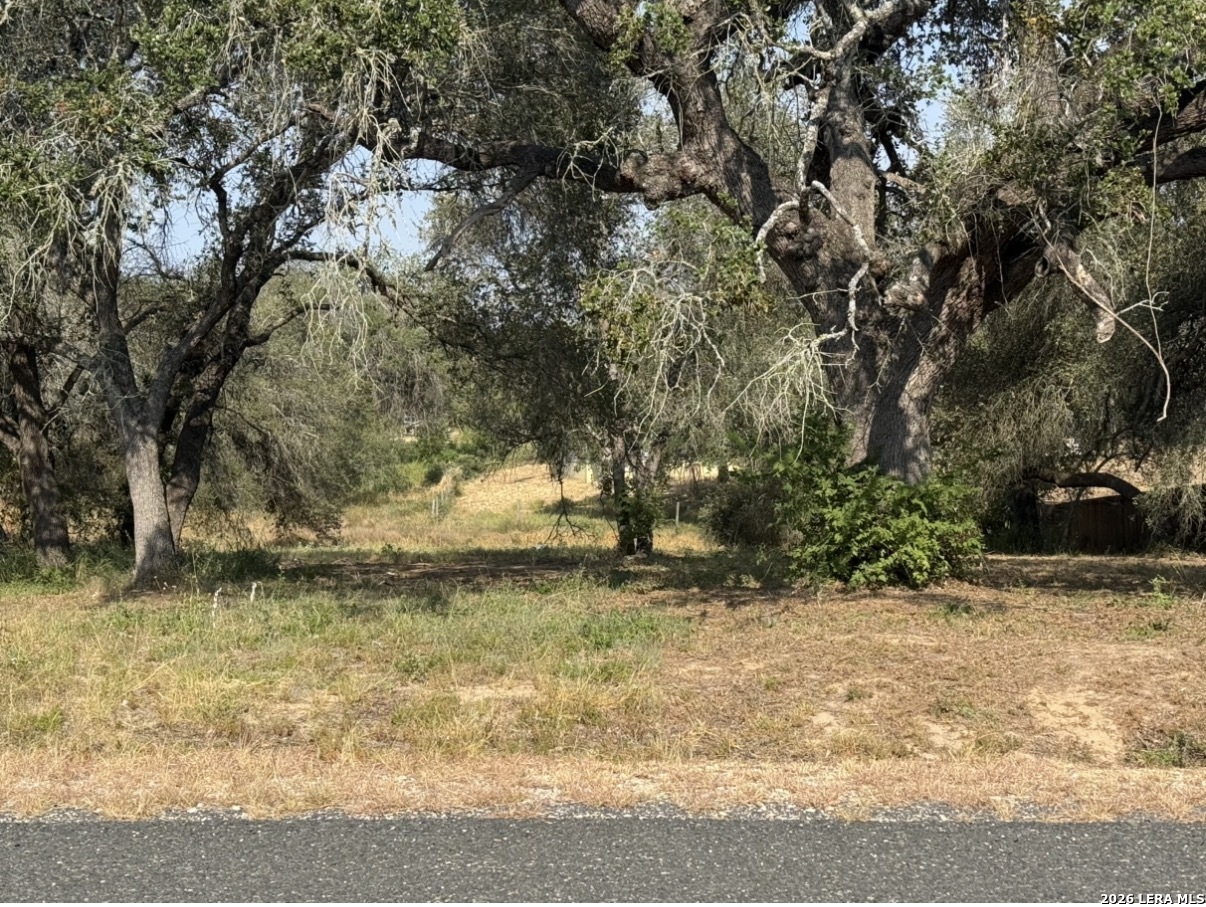 22815 Grand Spring Elmendorf TX 78112