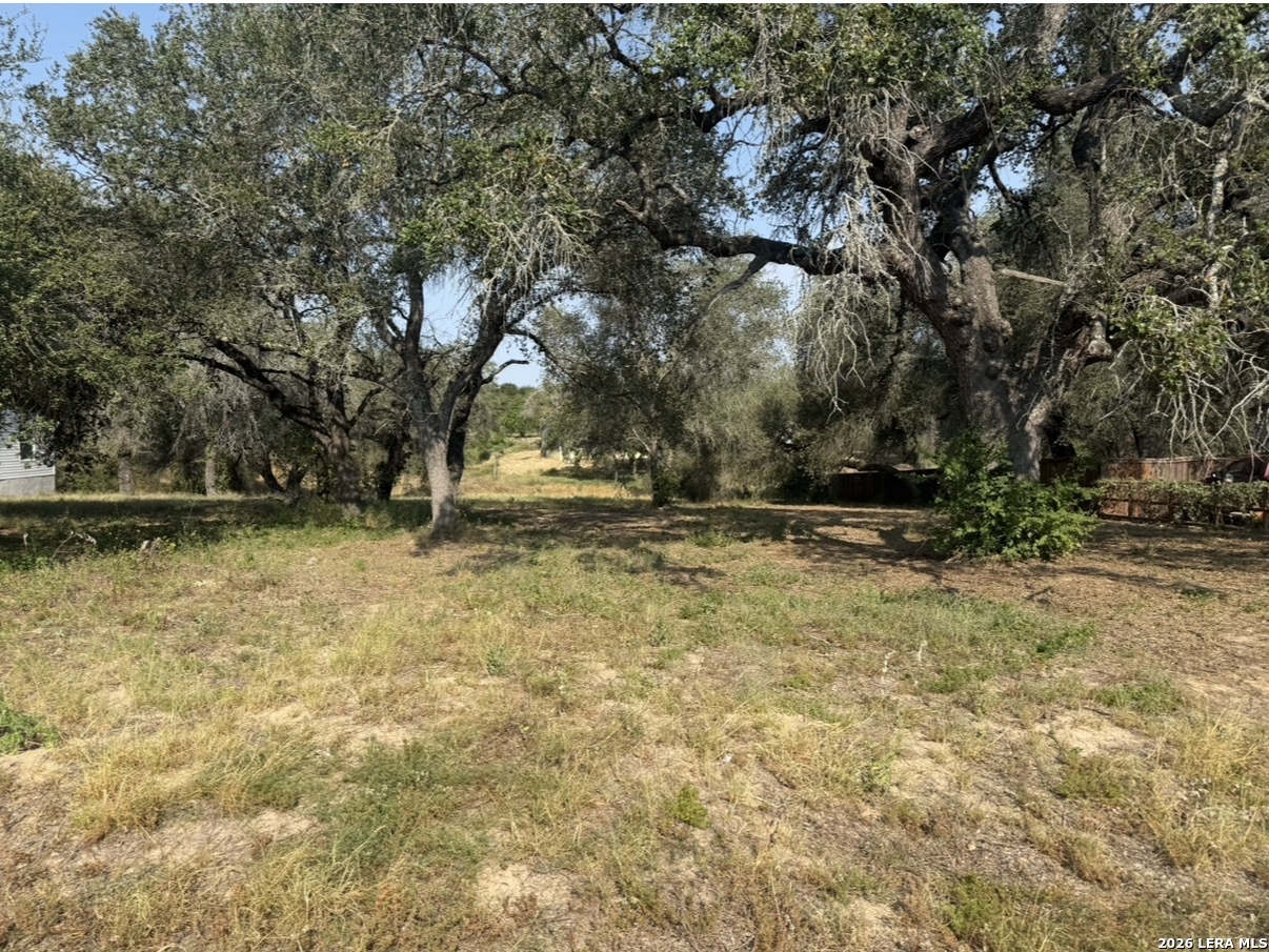 22815 Grand Spring Elmendorf TX 78112