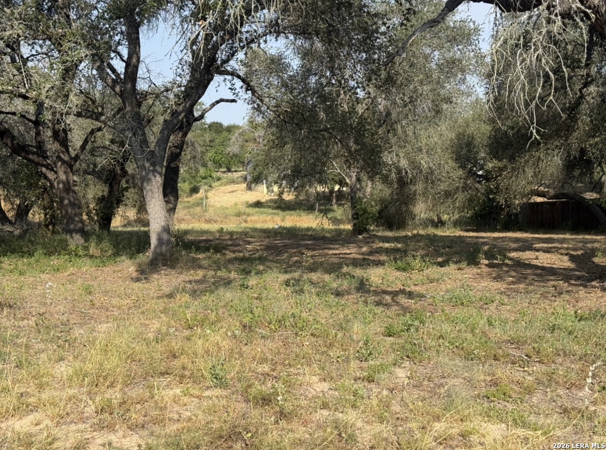 22815 Grand Spring Elmendorf TX 78112