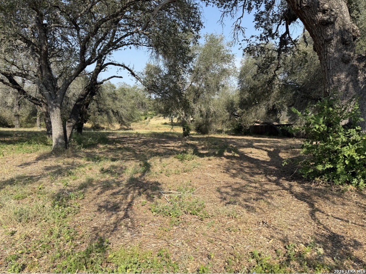 22815 Grand Spring Elmendorf TX 78112
