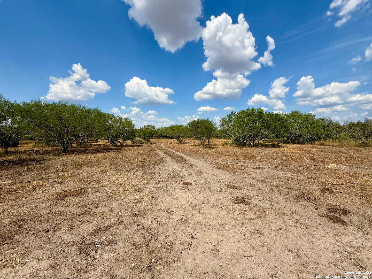 TBD15+/- Acres County Road 157 Kenedy TX 78119