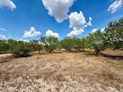 TBD15+/- Acres County Road 157 Kenedy TX 78119