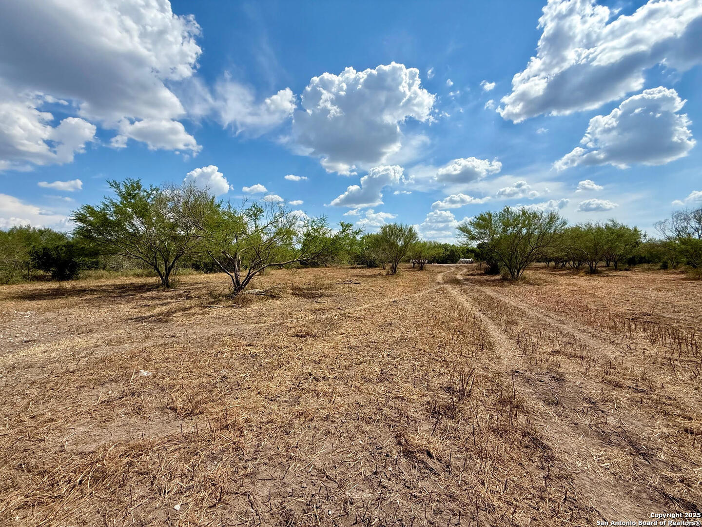 TBD15+/- Acres County Road 157 Kenedy TX 78119