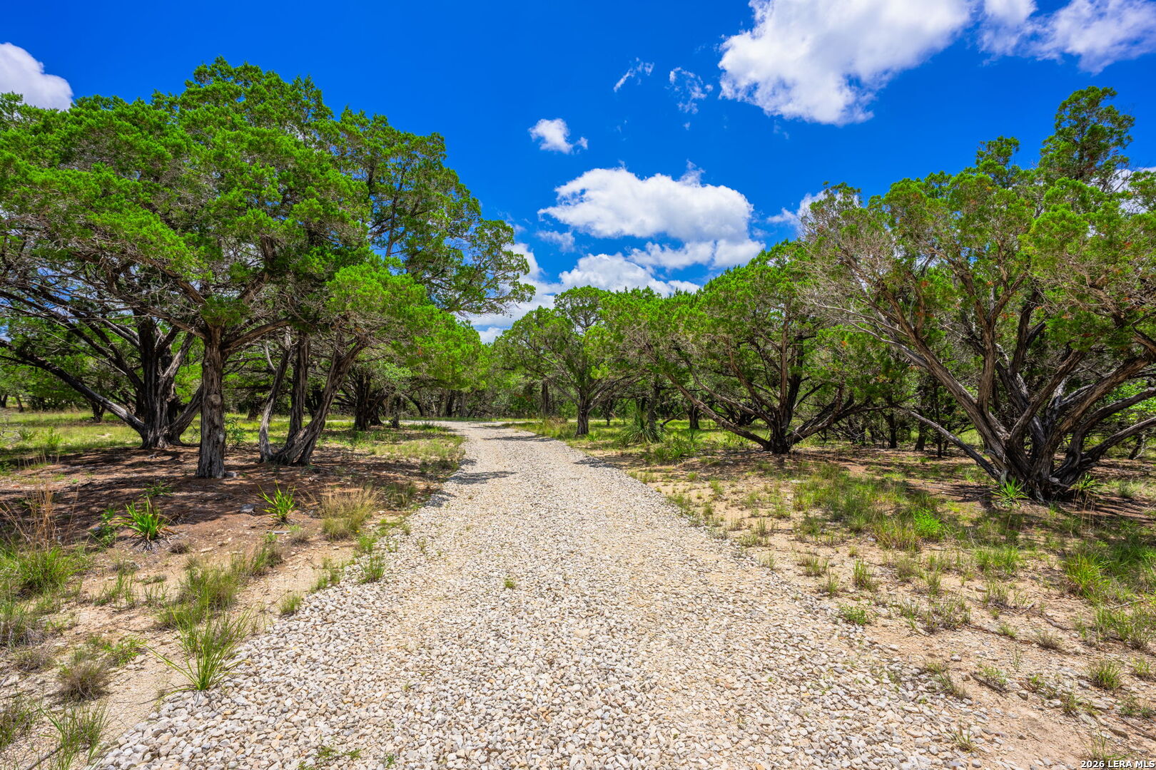 4568 Fm 2828 Bandera TX 78003