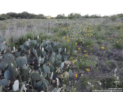 Tbd Tract 6 Pr Two A Lane Poteet TX 78065