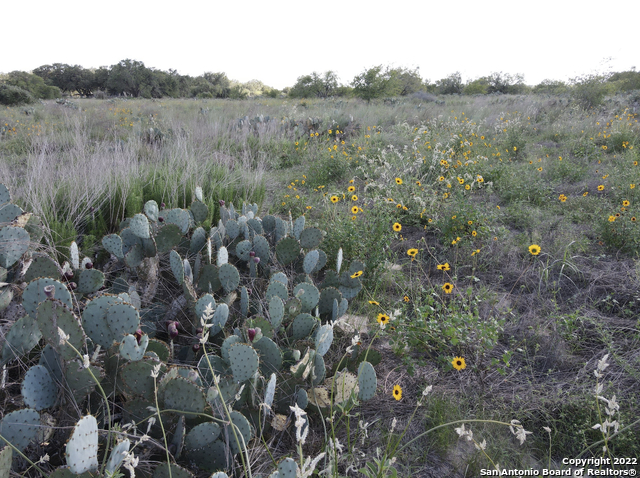 Tbd Tract 6 Pr Two A Lane Poteet TX 78065