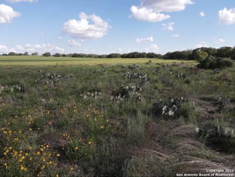 Tbd Tract 6 Pr Two A Lane Poteet TX 78065