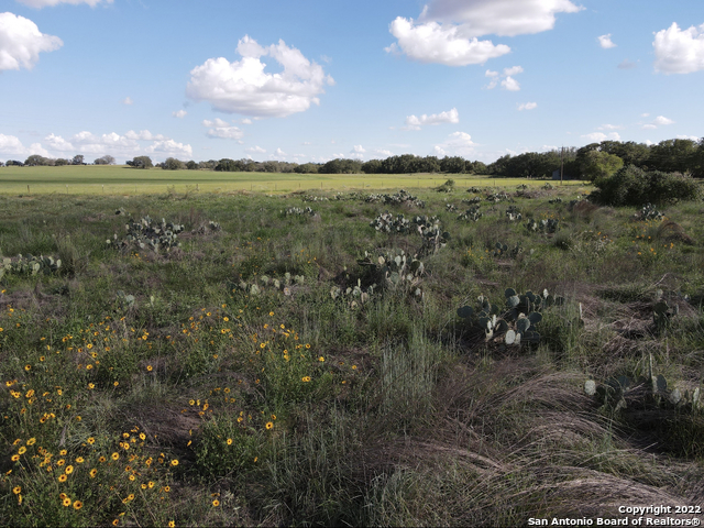 Tbd Tract 6 Pr Two A Lane Poteet TX 78065