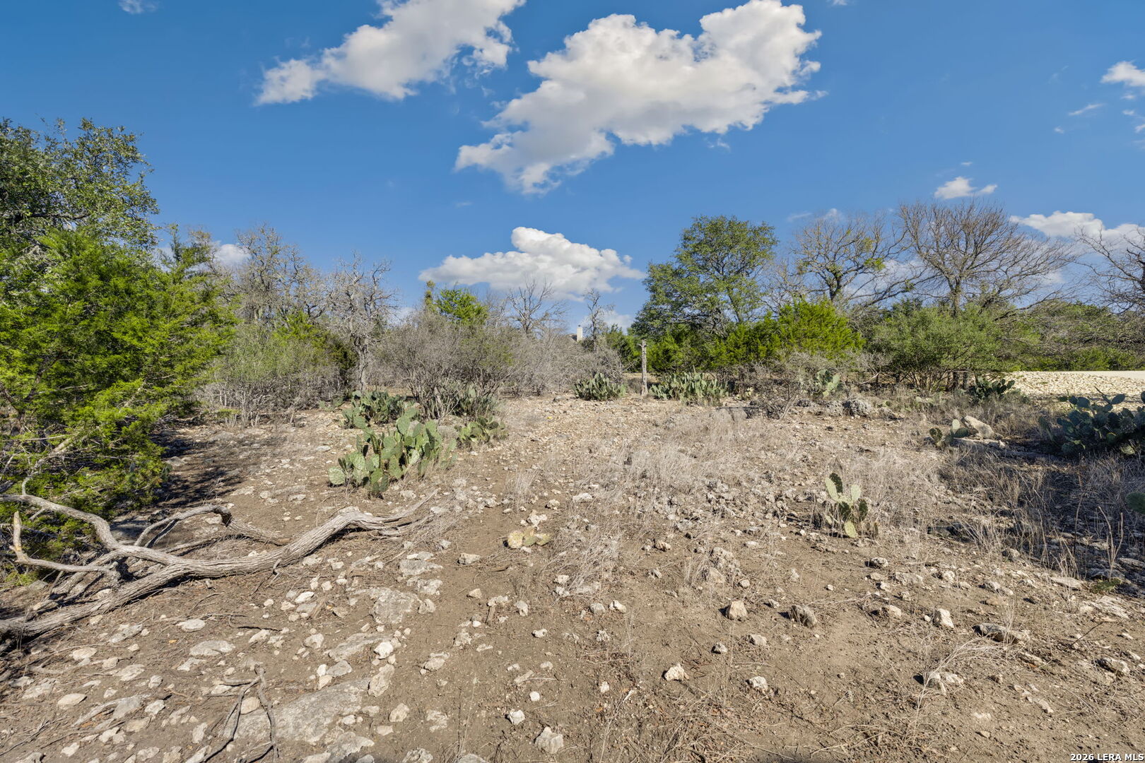 335 Rittimann Spring Branch TX 78070