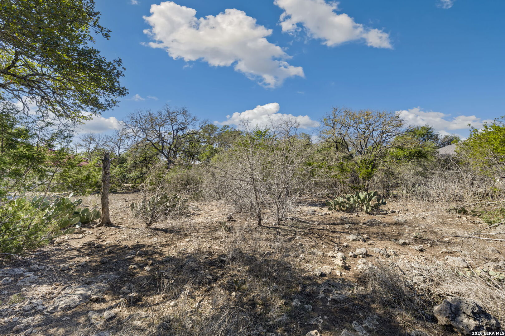 335 Rittimann Spring Branch TX 78070
