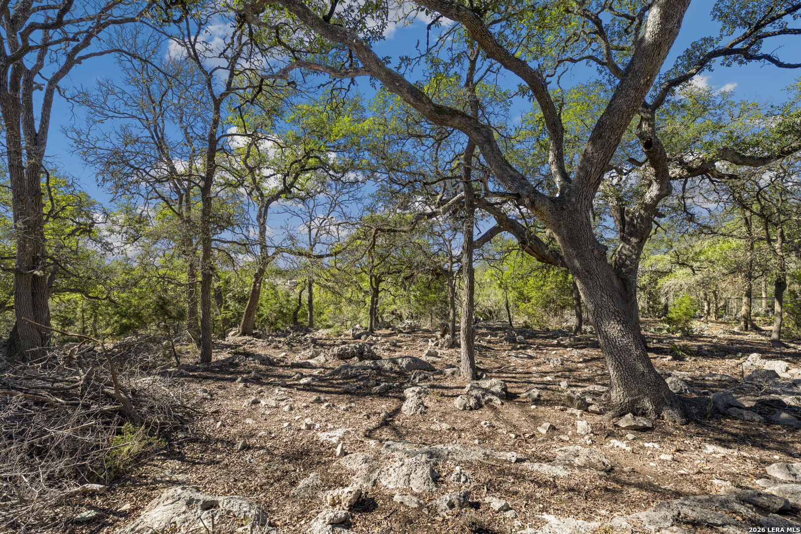 335 Rittimann Spring Branch TX 78070