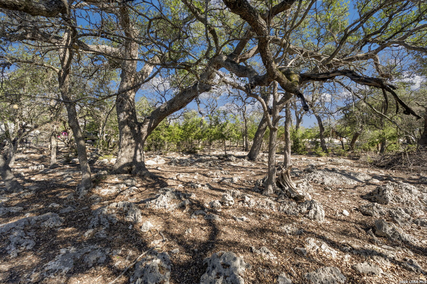 335 Rittimann Spring Branch TX 78070