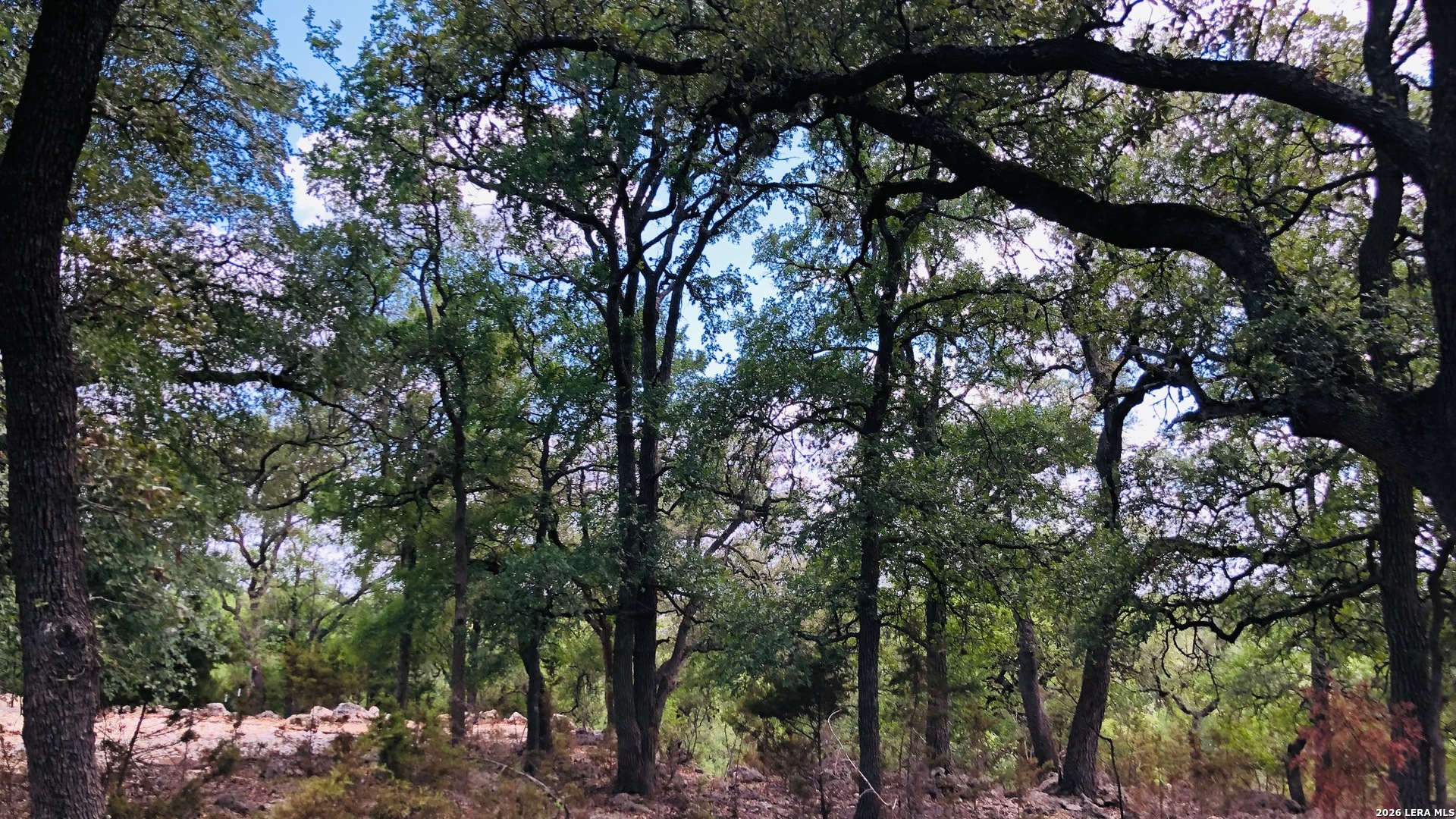 335 Rittimann Spring Branch TX 78070
