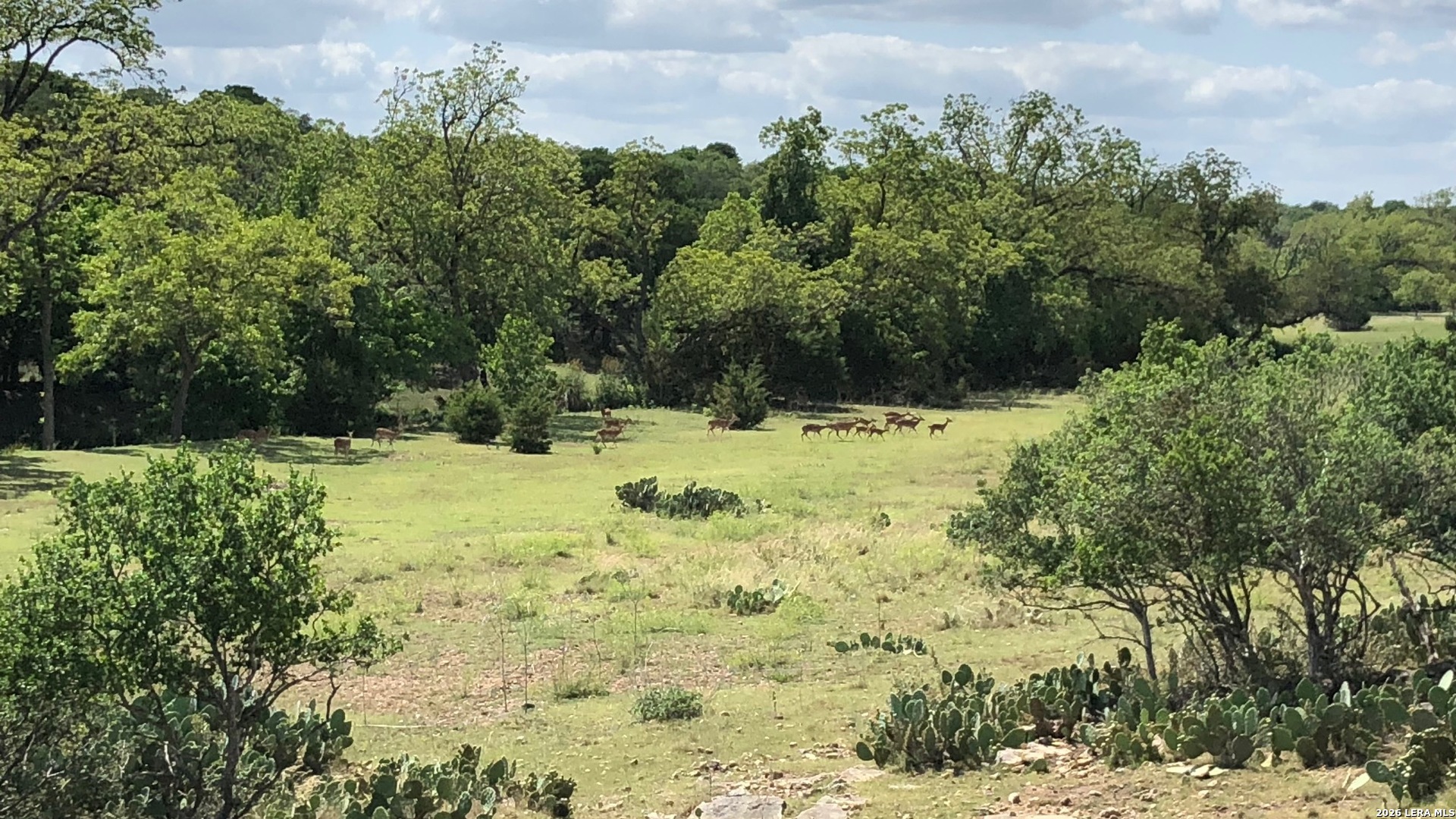 335 Rittimann Spring Branch TX 78070