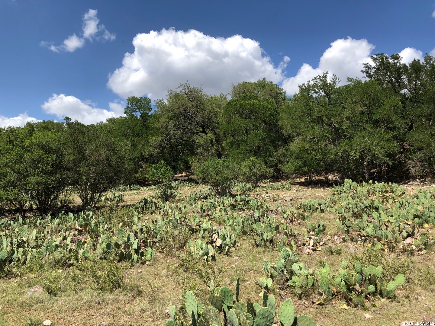 335 Rittimann Spring Branch TX 78070