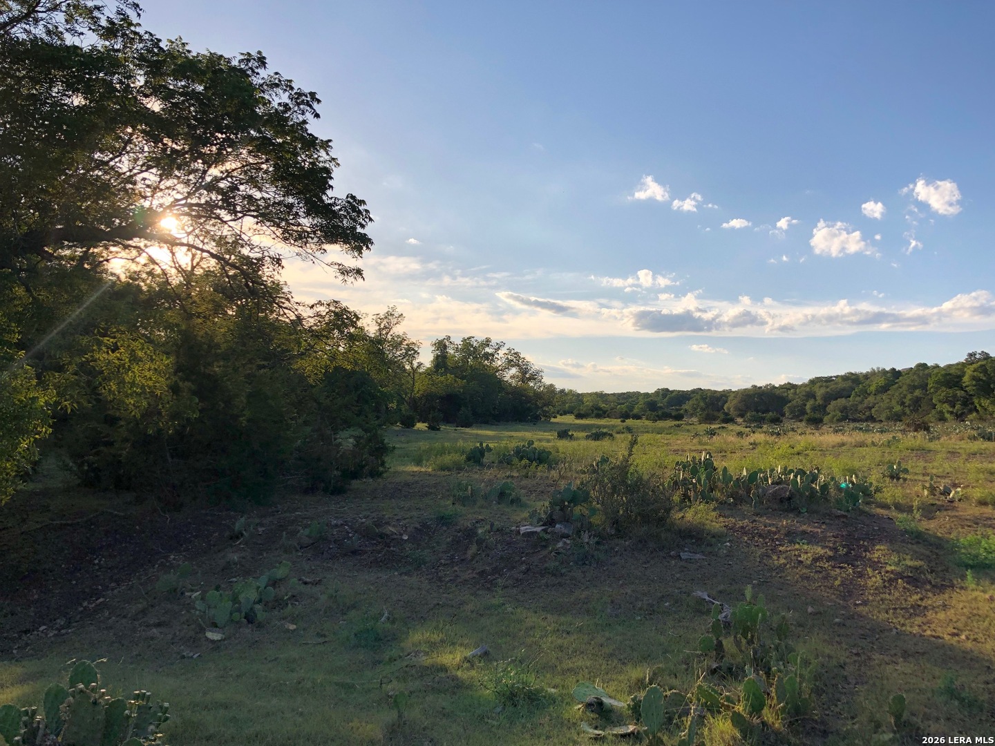 335 Rittimann Spring Branch TX 78070