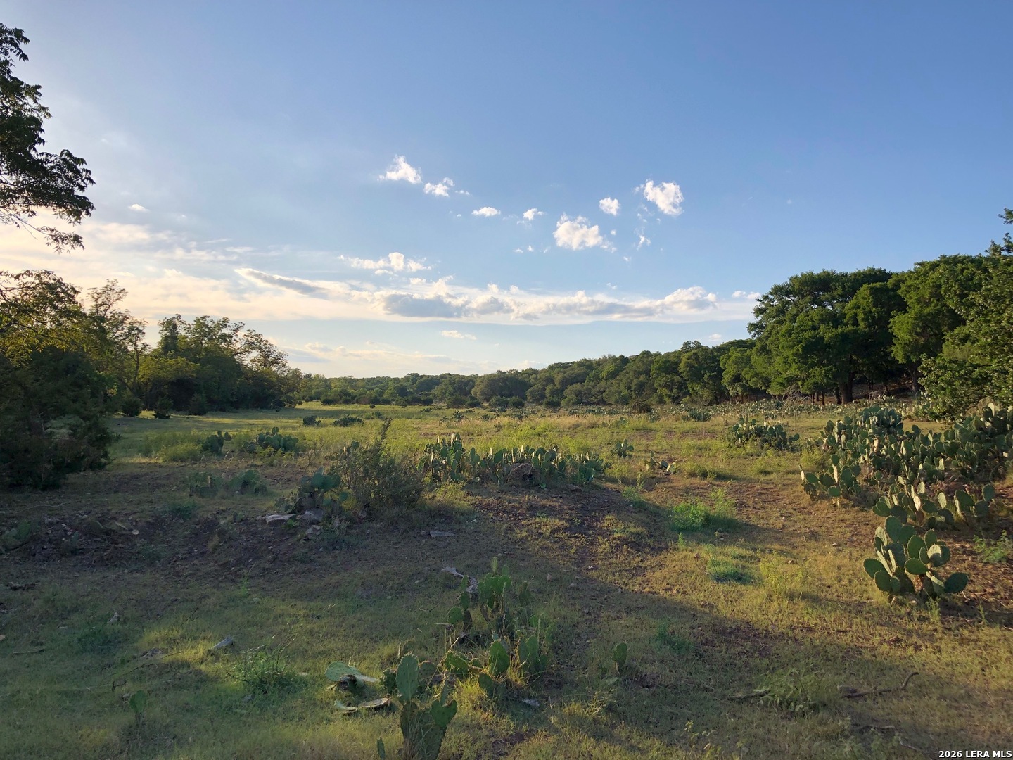335 Rittimann Spring Branch TX 78070