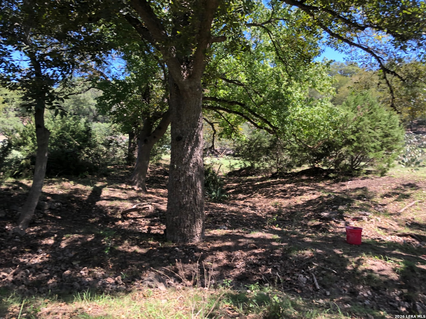 335 Rittimann Spring Branch TX 78070