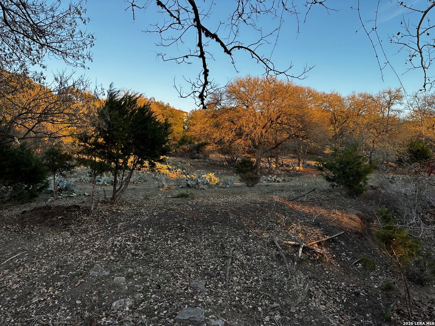 335 Rittimann Spring Branch TX 78070