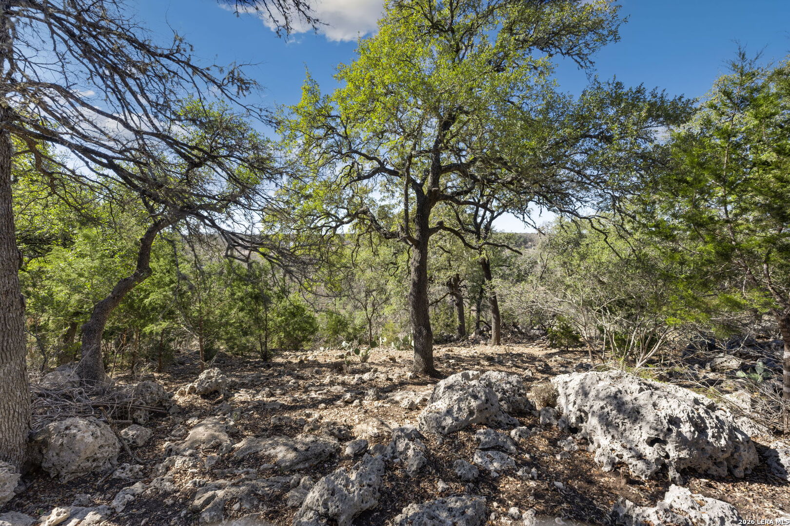 335 Rittimann Spring Branch TX 78070