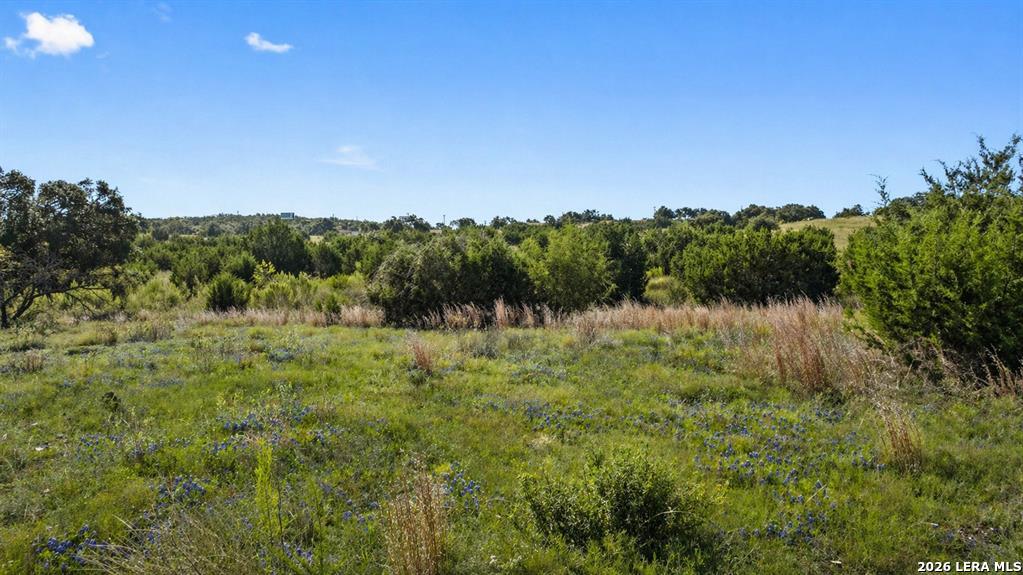 386 Appaloosa Run Round Mountain TX 78663