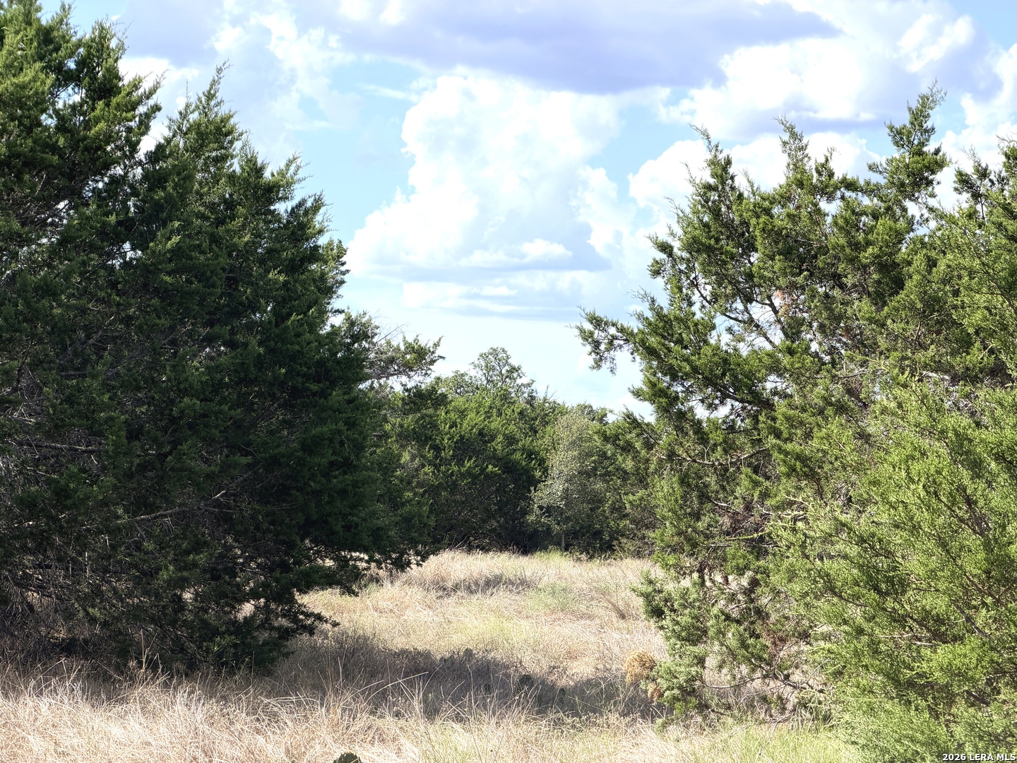 Lot 46 Riparian Elm Road Bertram TX 78605