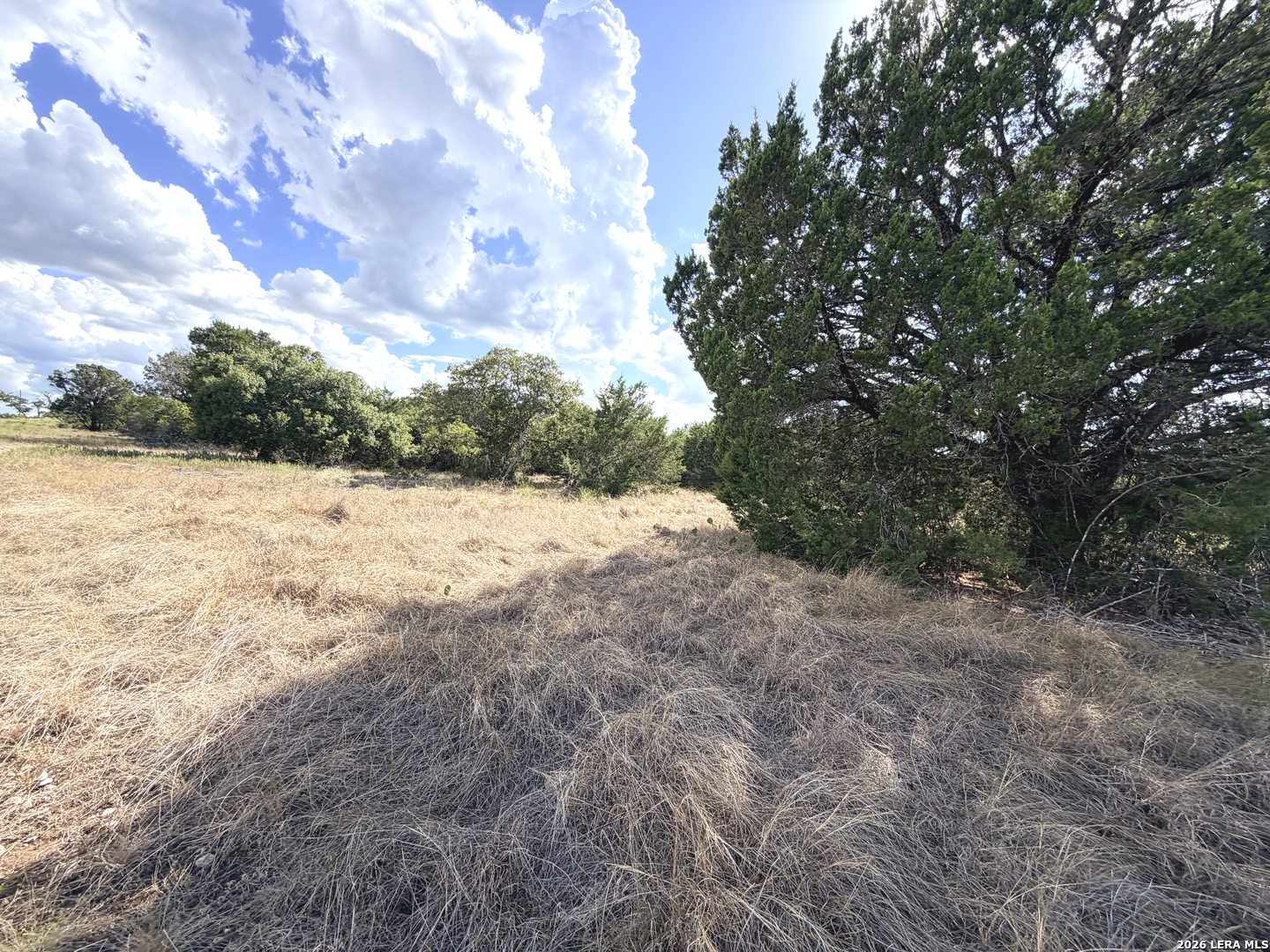 Lot 46 Riparian Elm Road Bertram TX 78605