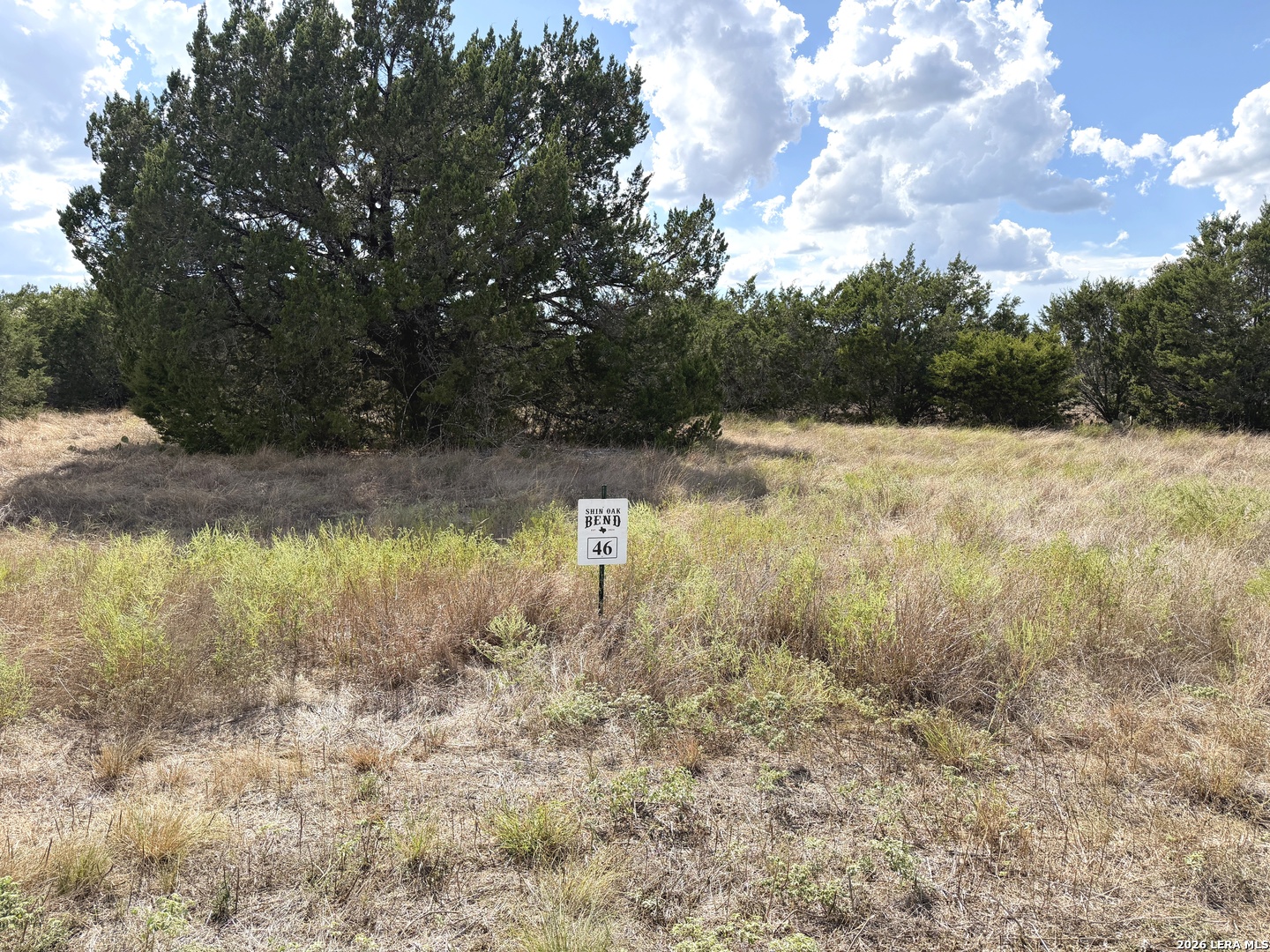 Lot 46 Riparian Elm Road Bertram TX 78605